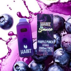Habit 2 Gram Live Extract THCA Disposable - Hybrid Purple Punch